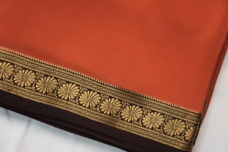 Orange (Coffee Brown Border)